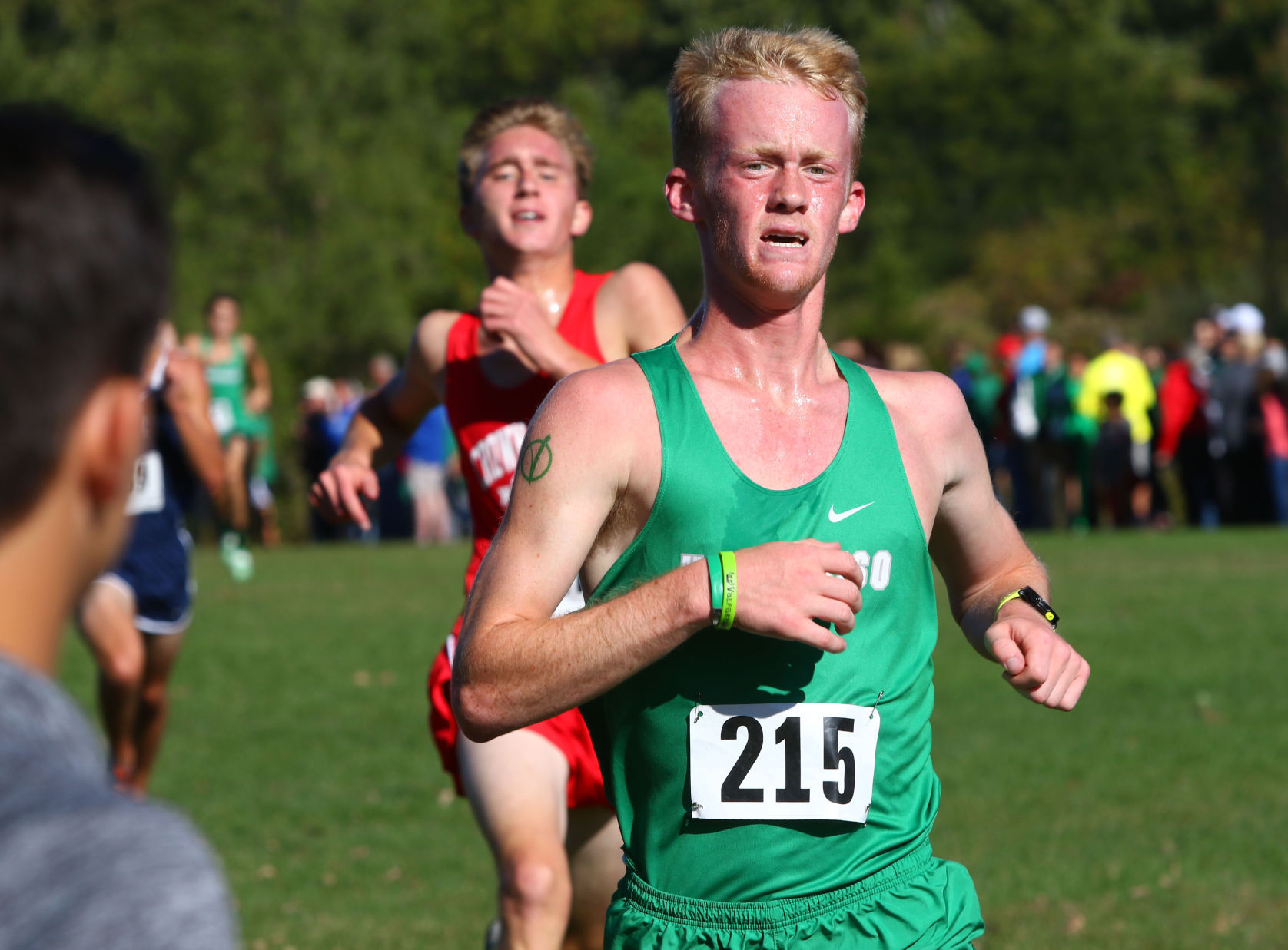 Gallery: Duneland Athletic Conference cross country meet